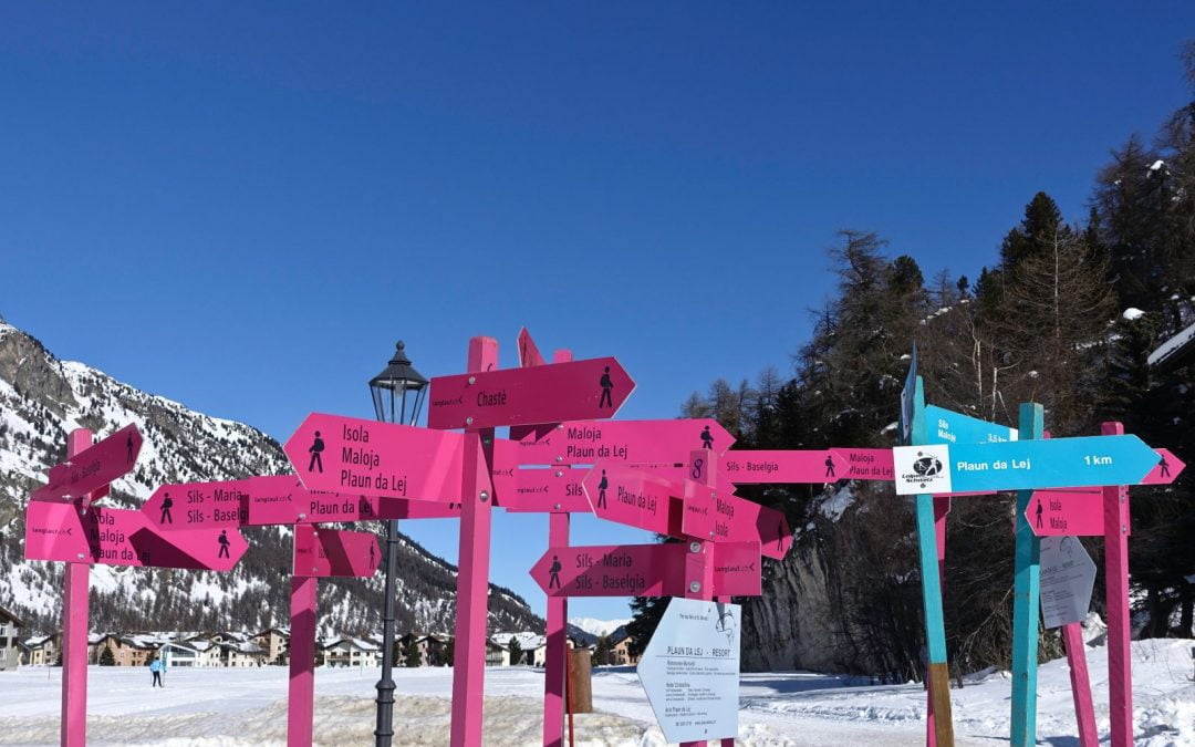 Dyspareunia, Vulvodynia, Vaginismus… I just want to know WHY I have pain with sex!